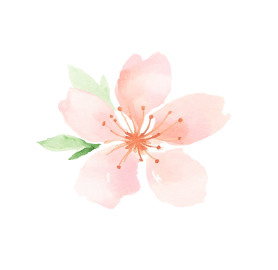 水彩桃花插画
