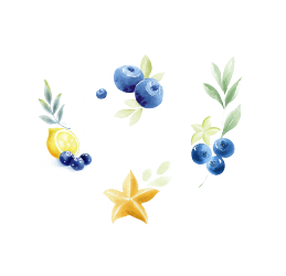 柠檬蓝莓水彩插画