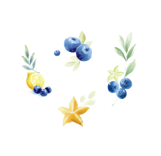 柠檬蓝莓水彩插画