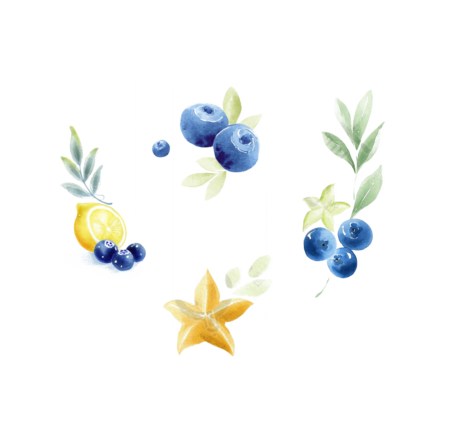 柠檬蓝莓水彩水果插画