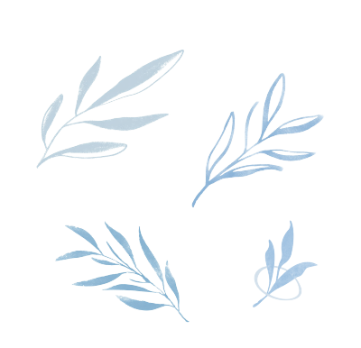 梦幻橄榄叶