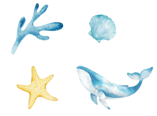 卡通海洋水彩鲸鱼元素