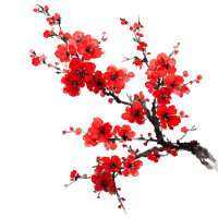 梅花高清设计元素