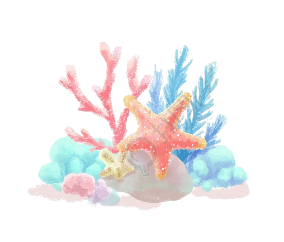 海洋珊瑚水彩风格插画