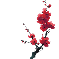 中国风梅花素材