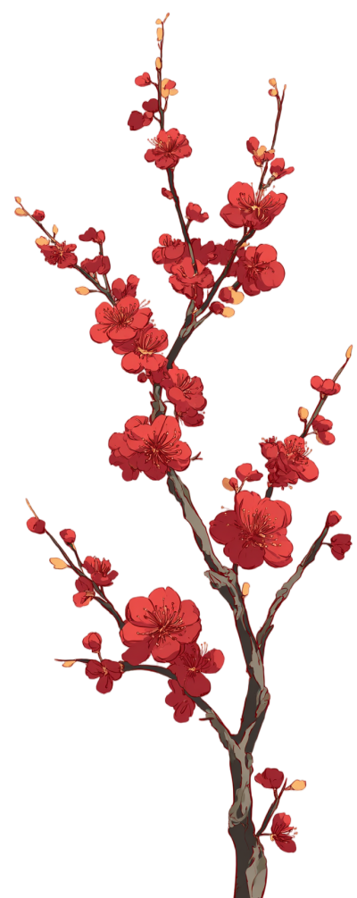 中国风梅花插画