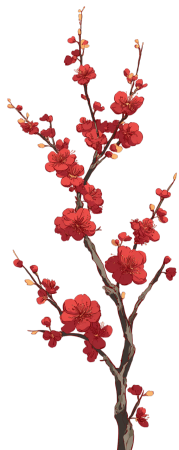 中国风梅花插画