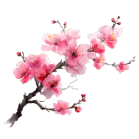 梅花高清设计素材