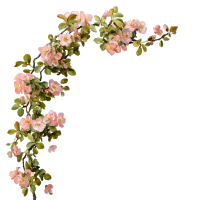 浅粉色玫瑰花环