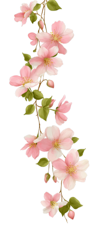 绿色藤蔓粉红花束PNG图形素材