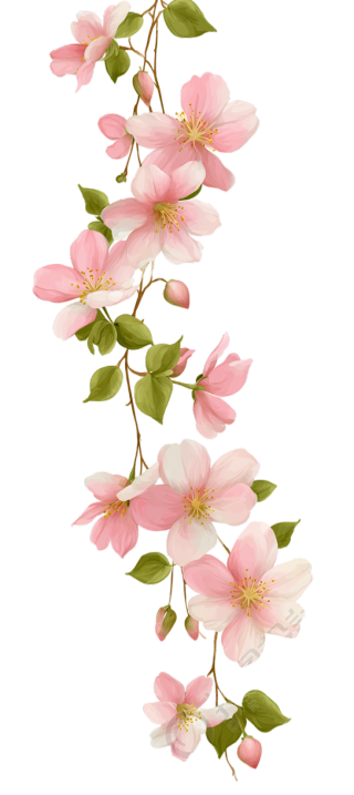 花藤透明背景插图