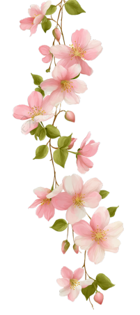 花藤透明背景插图