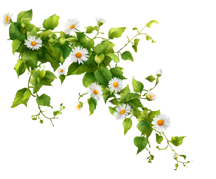 花藤小清新素材
