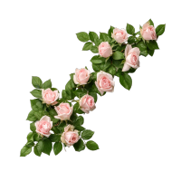 粉色玫瑰花环PNG