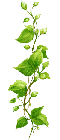 绿色植物藤蔓插画
