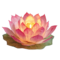 漂浮莲花灯笼