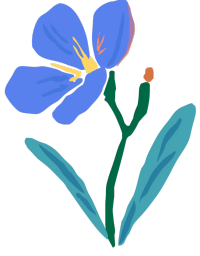 蓝色野花插画