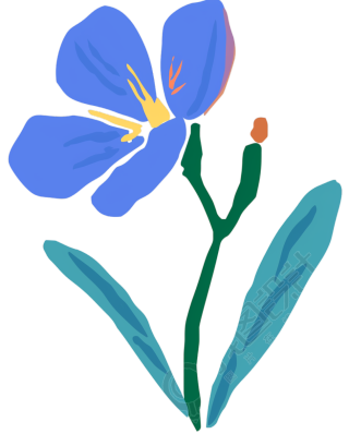 蓝色野花插画
