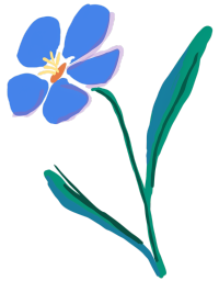 蓝色野花插画