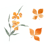 简约水彩秋叶PNG