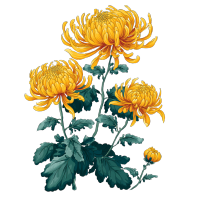 黄橙色菊花叶子日式水墨画风格