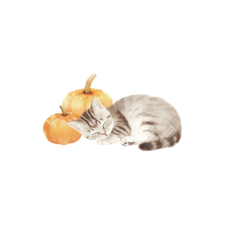 可爱猫咪睡觉透明背景插图