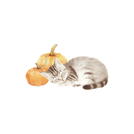 可爱猫咪睡觉透明背景插图