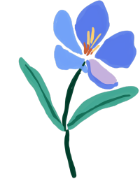 蓝色小野花插画