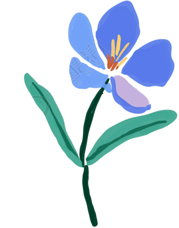 蓝色小野花插画