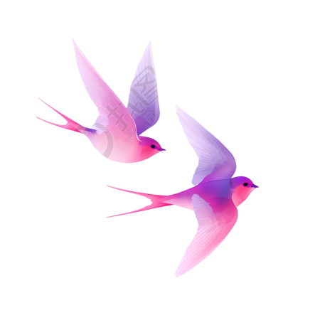 七夕粉色渐变喜鹊插图