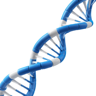 白色背景下的3D蓝色DNA