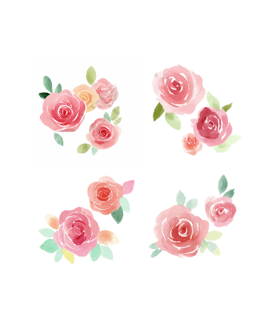 水彩玫瑰花插图