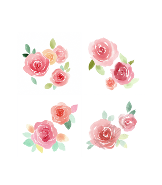 玫瑰