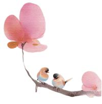 粉色花朵水彩插图