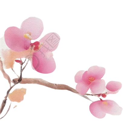 粉色花朵水彩元素