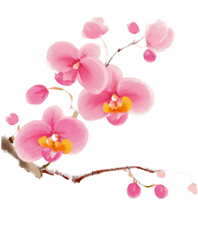 桃花唯美插图