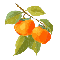 两个带叶柿子插图