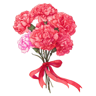 image (13)