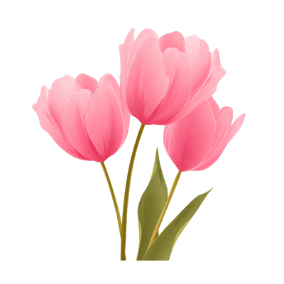 教师节郁金香矢量插画