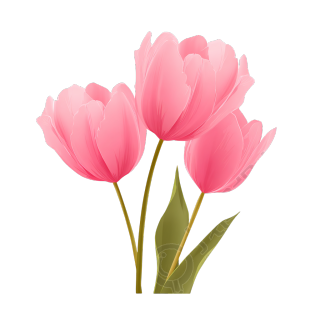 image (15)