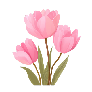 image (14)