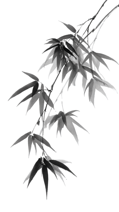 中元节水墨竹叶素材