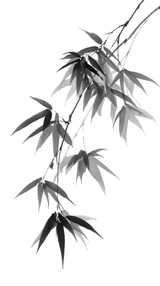 中元节水墨竹叶素材