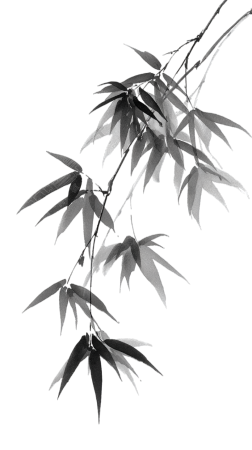 中元节水墨竹叶素材