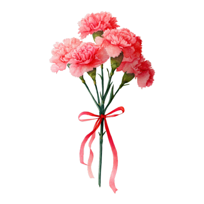教师节康乃馨矢量素材