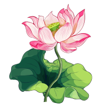 粉色荷花简约线条元素