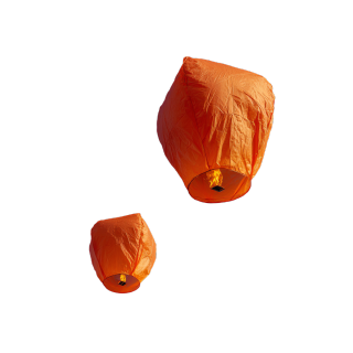 image (8)