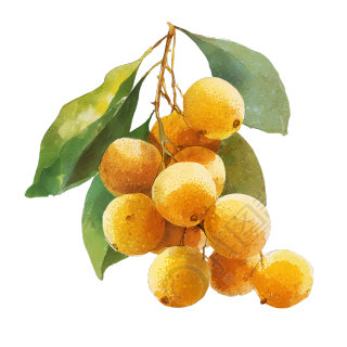 image (10)