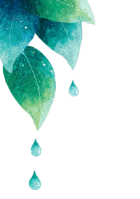 白露时节绿叶上的露水素材