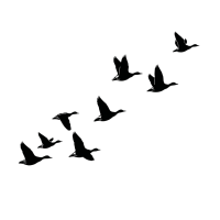 飞行的鸿雁剪影素材